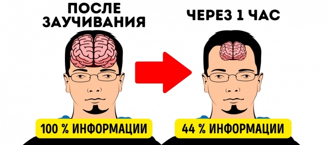 3869365-14042710-Preview_403782-3-0-15045254911-1506405125-1410-1-1506405125-650-cf0ca8effd-1506405273